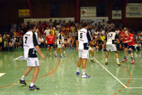 Trotz m�der Beine probierten die Zebras verschiedene Deckungsvarianten aus.