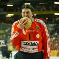 Ungarischer Held des Abends: Torh�ter Nenad Puljezevic
