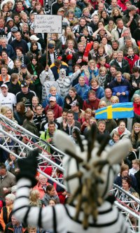 Hein Daddel blickt auf Jeannie und Manu im Zebra-Kost�m.