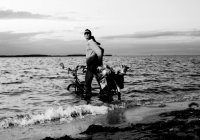 Ein weiteres Motiv aus dem Kalender.