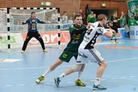 Aron Palmarsson erzielte vier Treffer.