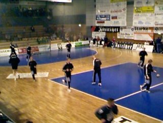 [Bild: Die Zebras beim Warmmachen]