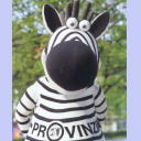 Die aktuelle Autogrammkarte.