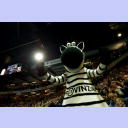 Hein Daddel in seinem Element.