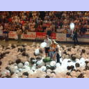 Abschied von Max: Max im schwarz-wei�en Ballon-Meer.