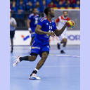 WM 2013: FRA-TUN: Luc Abalo.