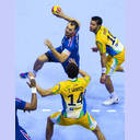 WM 2013: FRA-BRA: Jerome Fernandez.